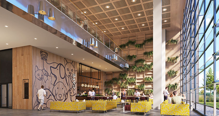 Rowan University Veterinarian School of Medicine